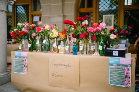 Vsaj 25 cvetov za ocenjevanje_Foto Marjan Krebelj